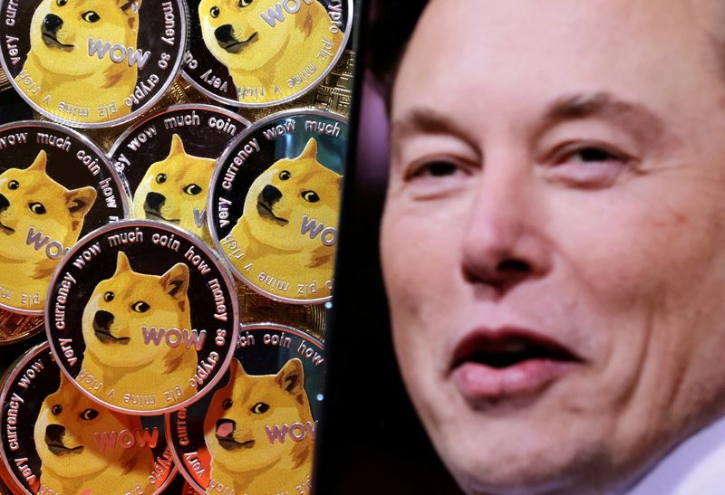 FILE PHOTO: Illustration shows Elon Musk and representations of cryptocurrency Dogecoin