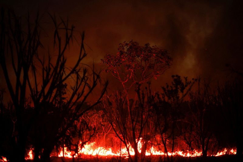 FILE PHOTO: A view of the devastation caused by a forest fire in an area of Brasilia's National Forest, in Brasilia
