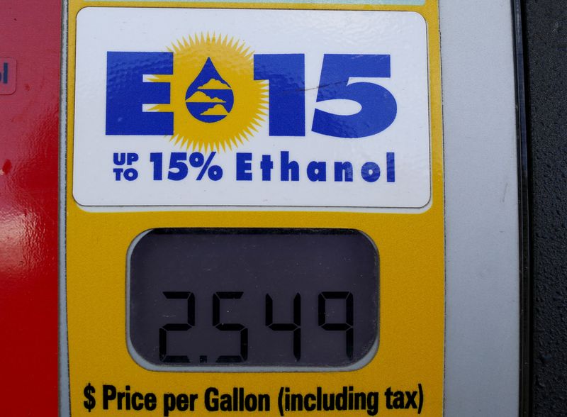 FILE PHOTO: A gas pump displays the price for E15, a gasoline with 15 percent of ethanol, at a gas station in Nevada