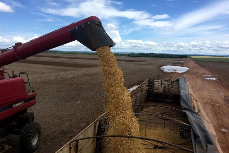 El Niño Soy Crop Favorable for South America;  The prospects for northern Brazil are less rosy