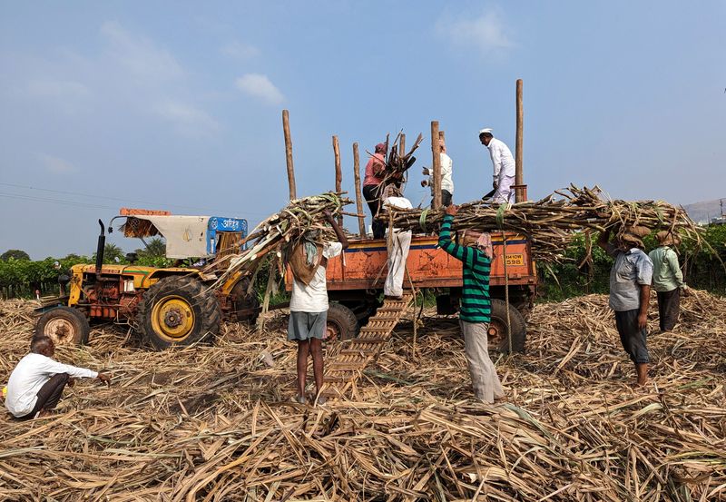 Indian sugar mills export entire quota of 6.1 million tonnes - Stock market news