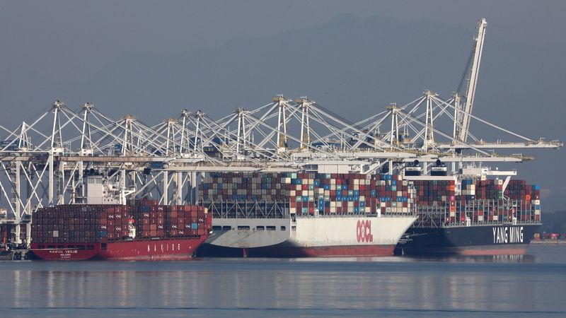 Container ships dock at Roberts Bank Superport in Delta