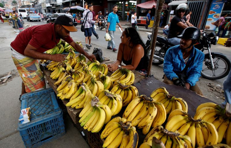 El hongo del plátano puede empeorar la crisis de hambre en Venezuela