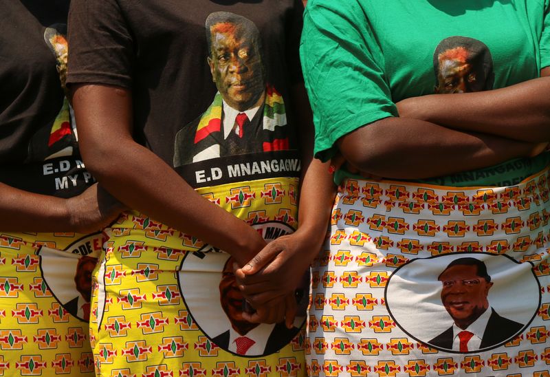 Zimbabwe's 'Patriotic Bill' outlaws criticism of government before election - Stock market news