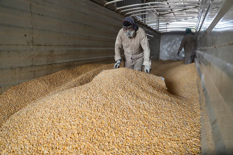 Estados Unidos intensifica queja de que la política de maíz de México viola el acuerdo comercial – Bloomberg News