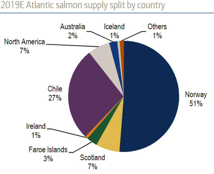 Qui produisait du saumon en 2019 ? (Source Bank of America Merrill Lynch)